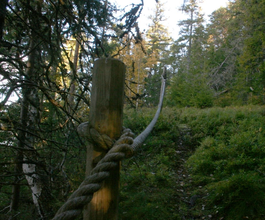 Hiking route: Ørdalen Nature Reserve