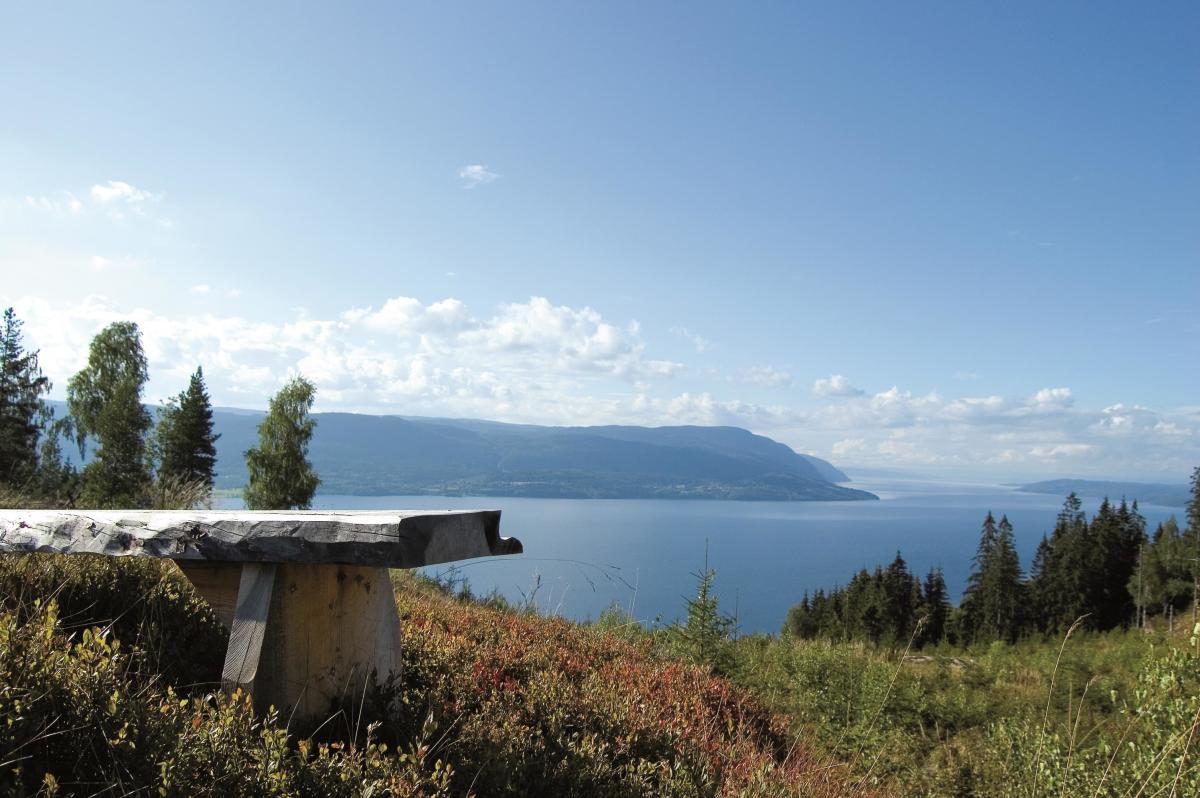 Mjøsli ecperiences and nature park