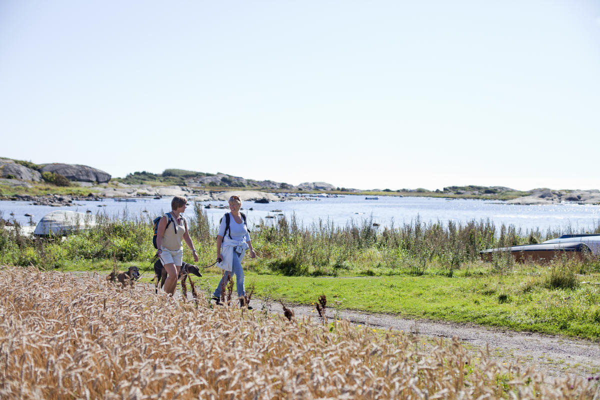 The coastal path through Vestfold