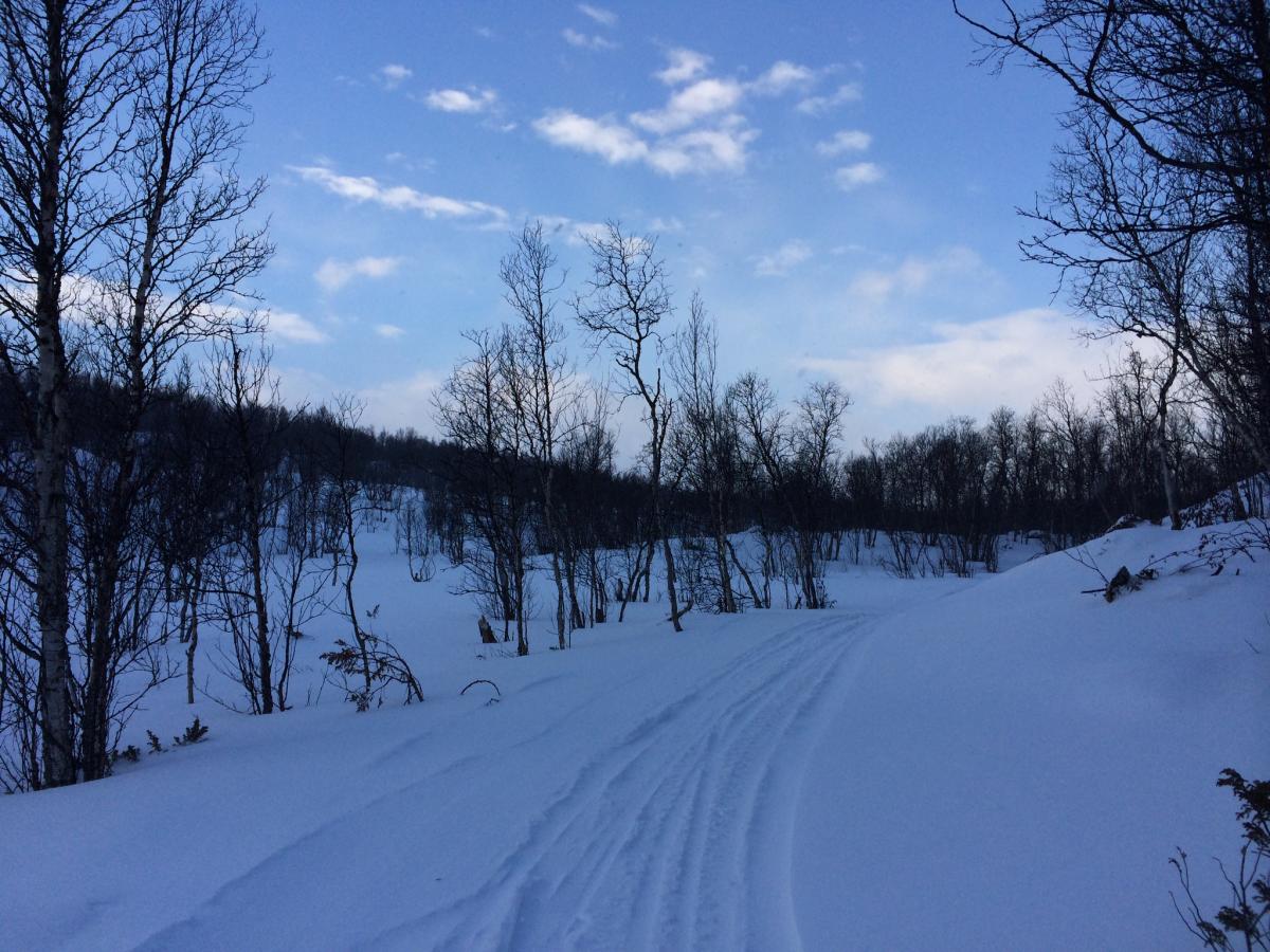 Turskiløyper i Røros | Skiing | Røros | Norway