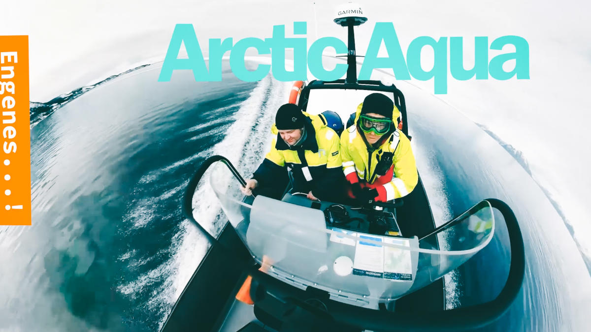 Arctic Aqua