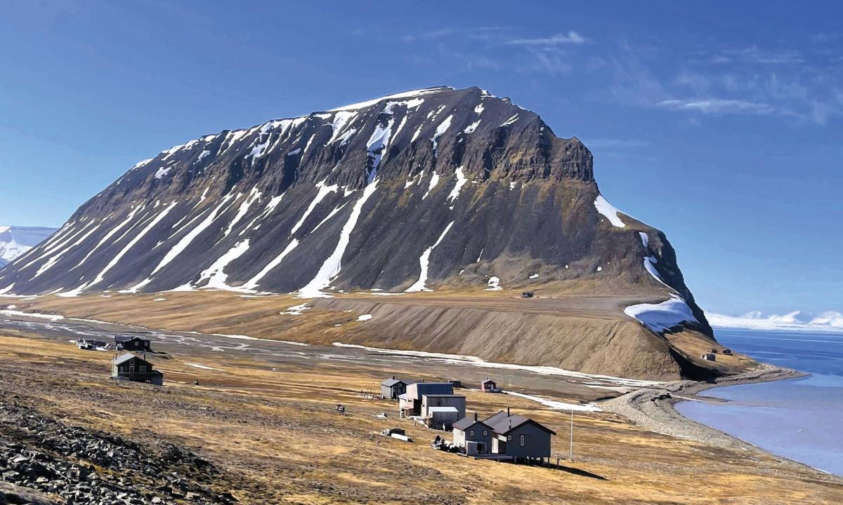 Fuglefjella Wildlife Hike from the Coast Svalbard Wildlife Expeditions