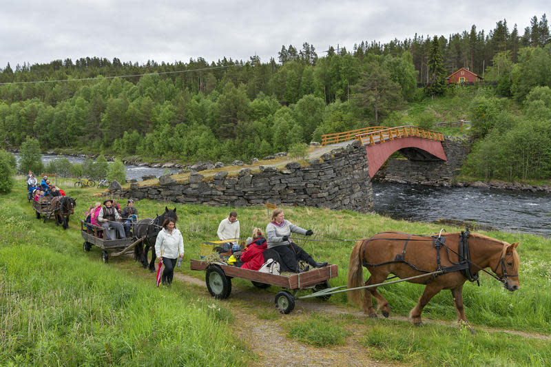 The old bridge at Tolga