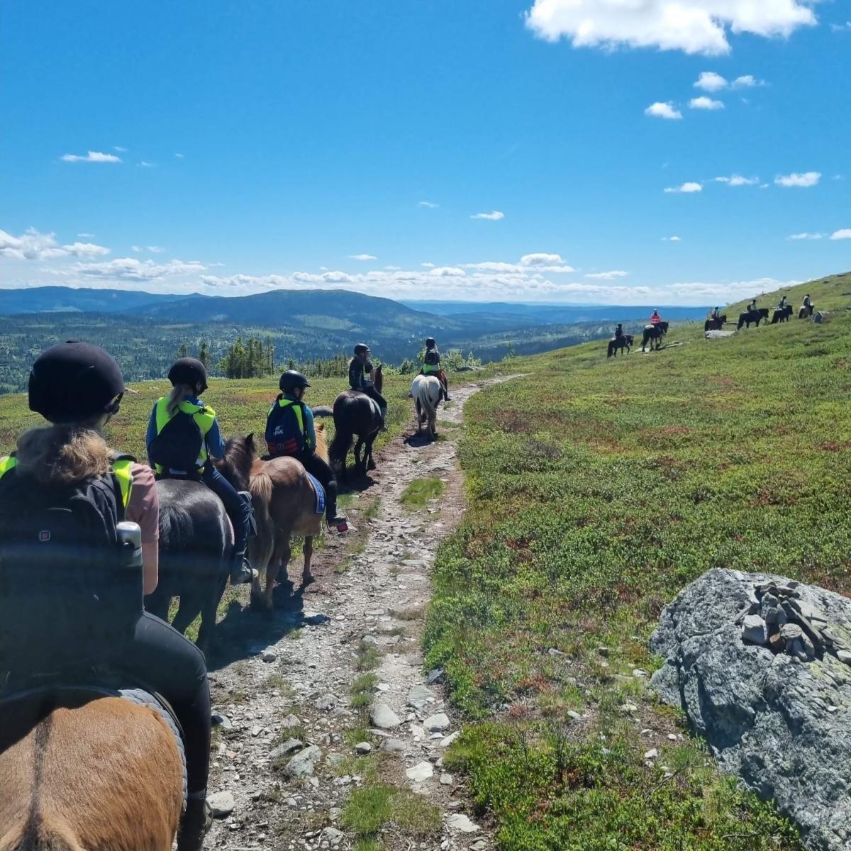 Horseback riding in Synnfjellet mountain Riding & Sledging Nord