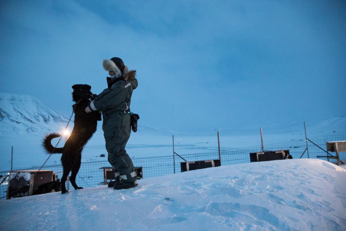 Dog Sledding in the Polar Night - Arctic Husky Travellers