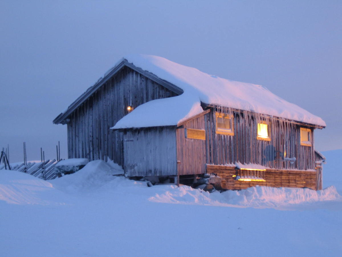 Tjukkekjorr