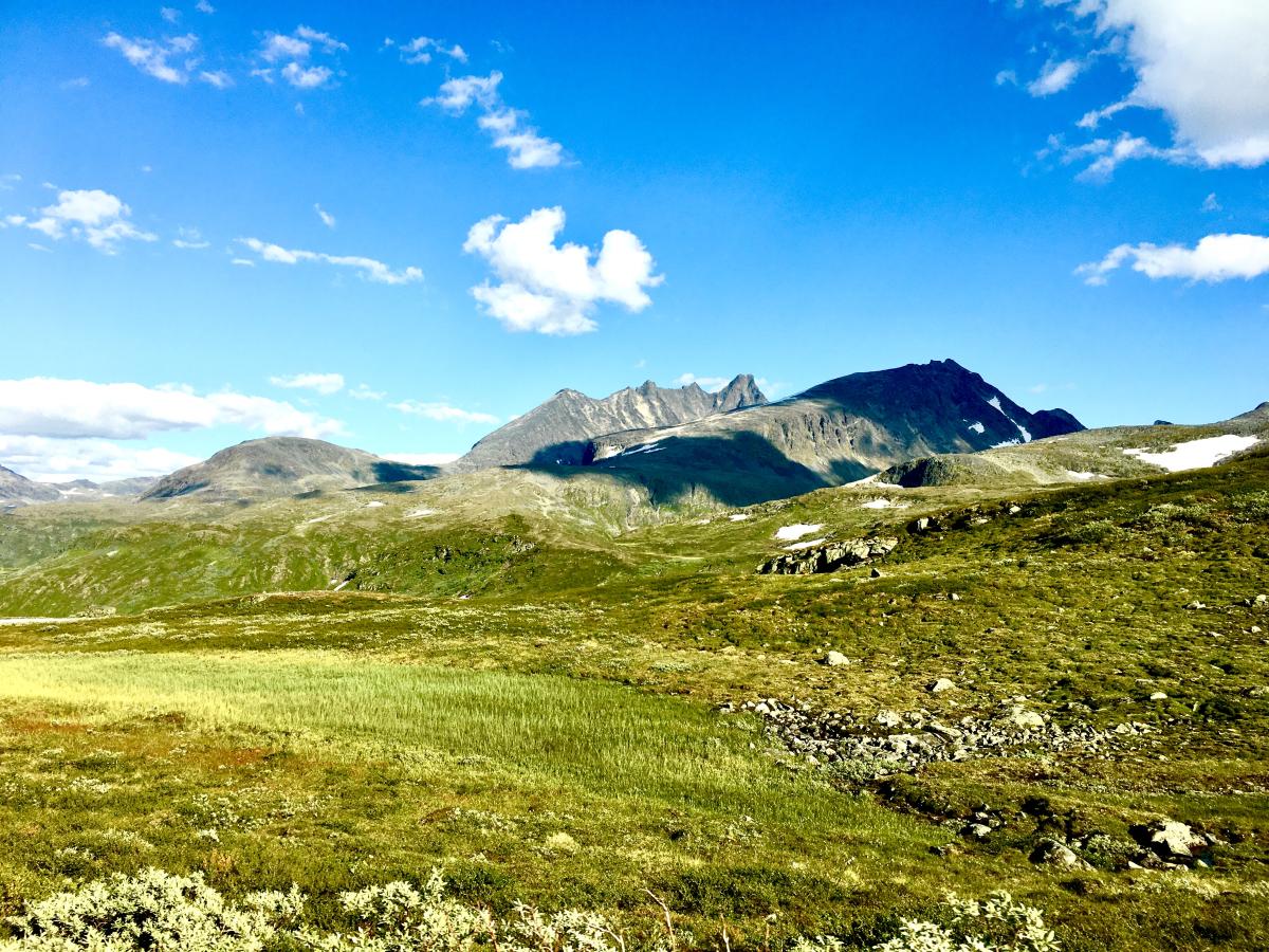 Tindevegen | Nature Attractions | Øvre Årdal | Norway