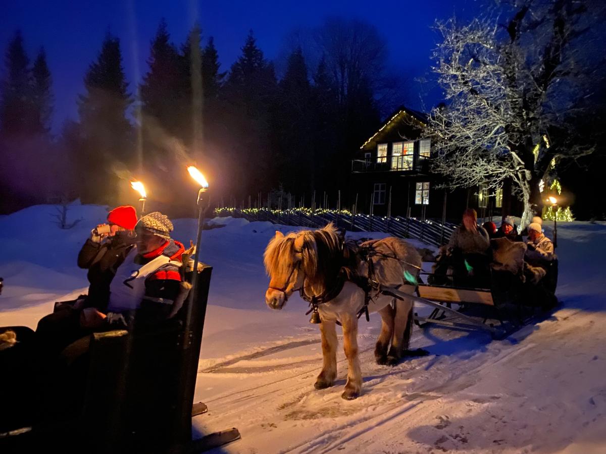 Horse sleigh rides near Brumunddal | Riding & Sledging | Brumunddal ...