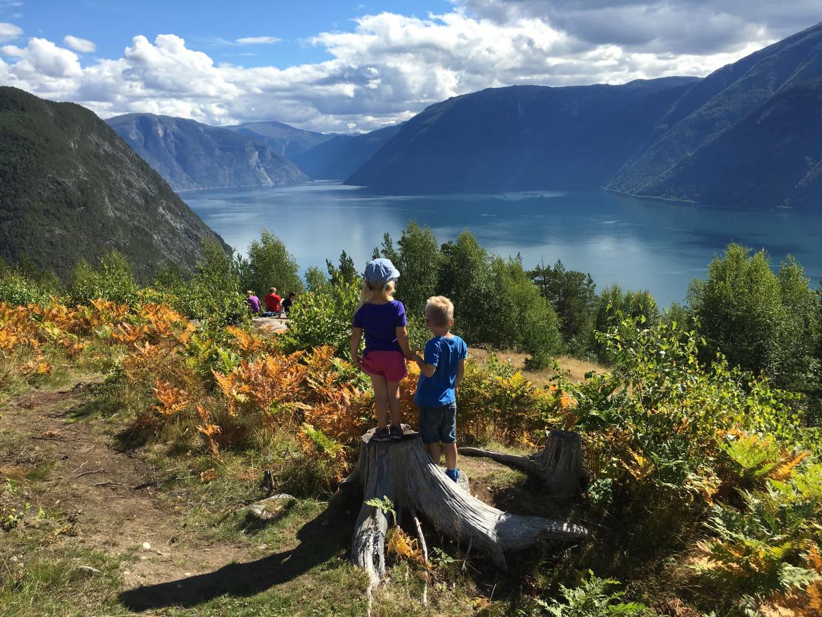 Guided hike to Kaupangerholten - Sognefjord Guiding