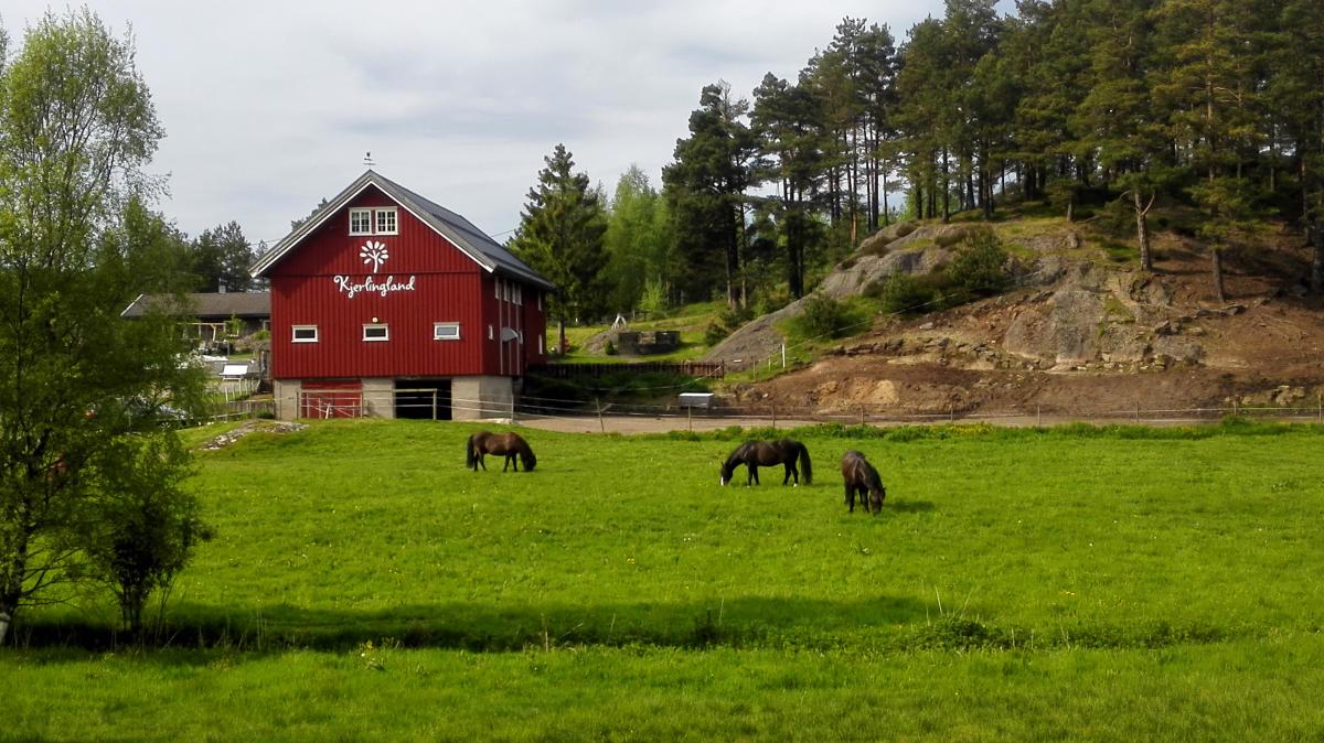 Kjerlingland Hest- og Aktivitetsgård