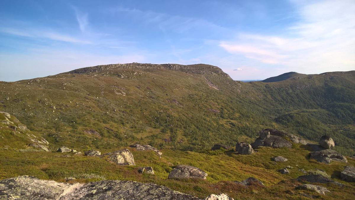 kvinnelig kjønnsorgan bilder deilige kvinnelig kjønnsorgan bilder deilige