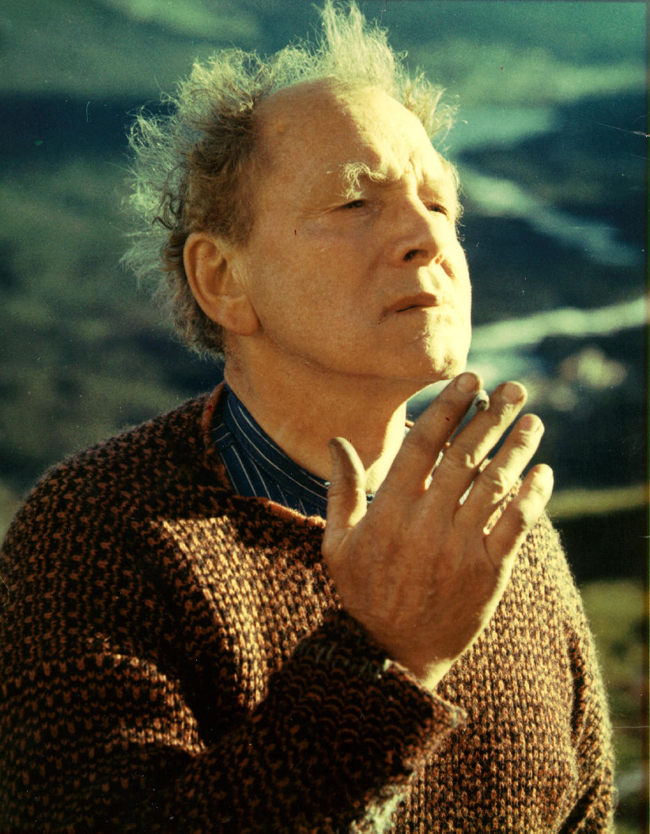 Experience Rolf Nesch Museum Ål in Hallingdal, Norway