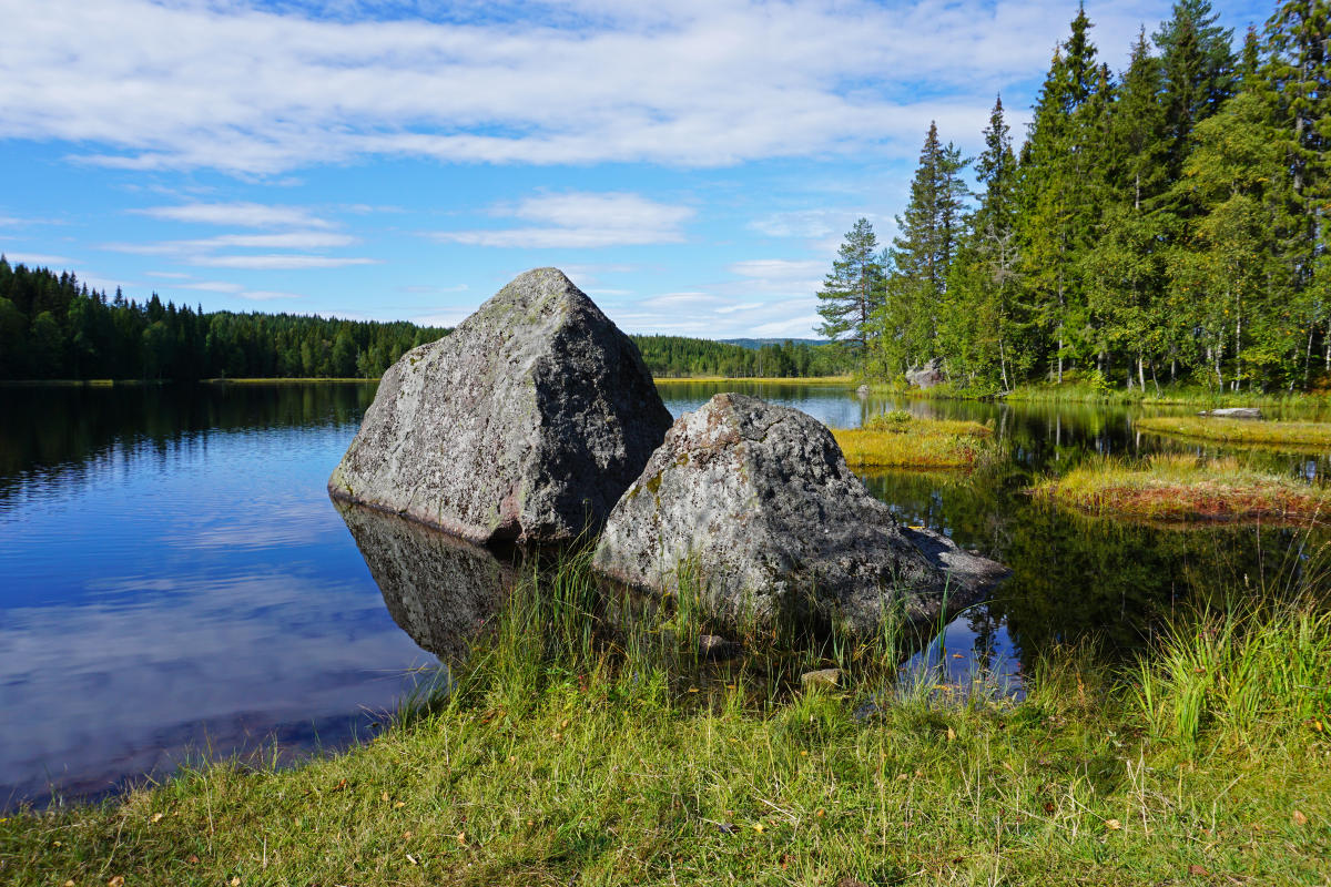 eventyr fraktion bejdsemiddel Nordmarka wilderness area | Nature Attractions | Oslo | Norway