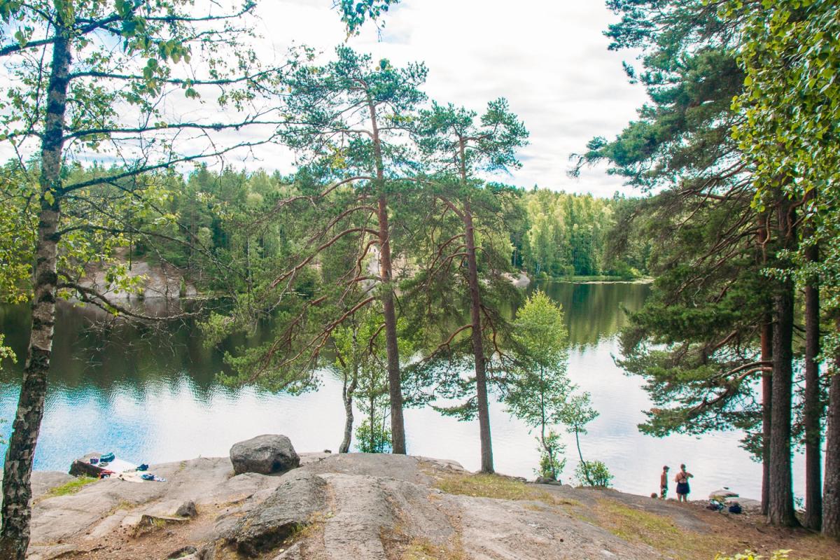 Forest walk from Østmarksetra to Mariholtet