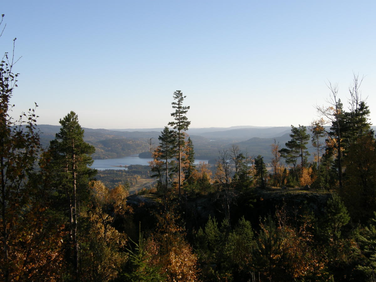 Lia Skule - Fennefossfjellet - round trip 4, 8 km