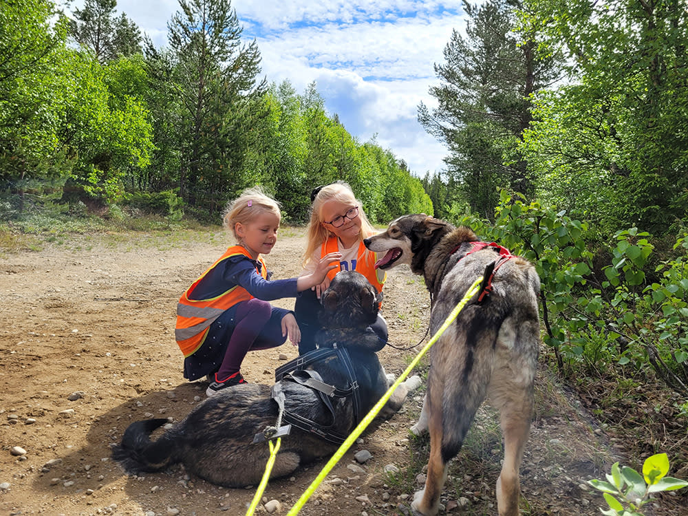 Telemark Husky Tour Riding & Sledging Rauland Norway