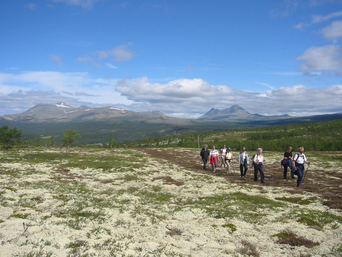 Rondane National Park