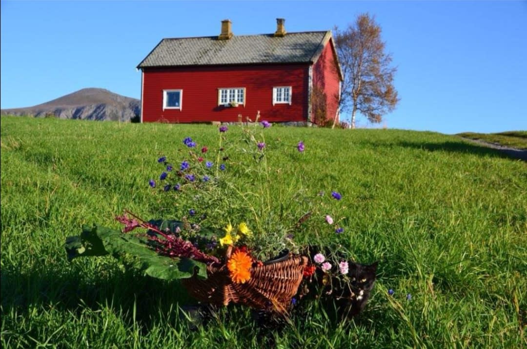 Home Visit Molde – Heilhaugrem and Coastal Garden