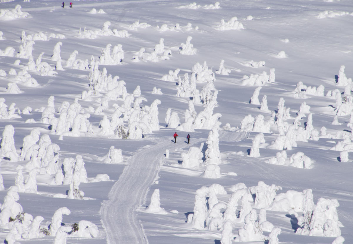 Sjusjøen | Cross-country Skiing