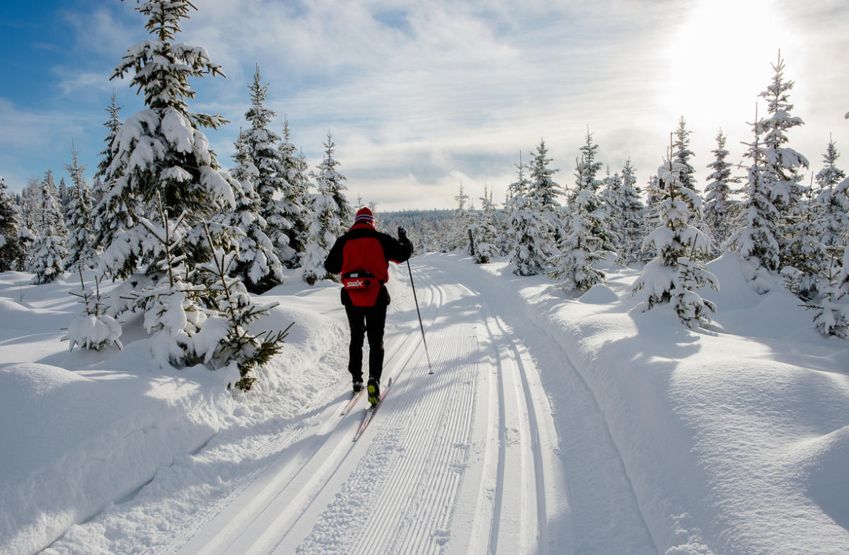 Crosscountry skiing Øståsen Søndre Land Tour Suggestions Hov Norway