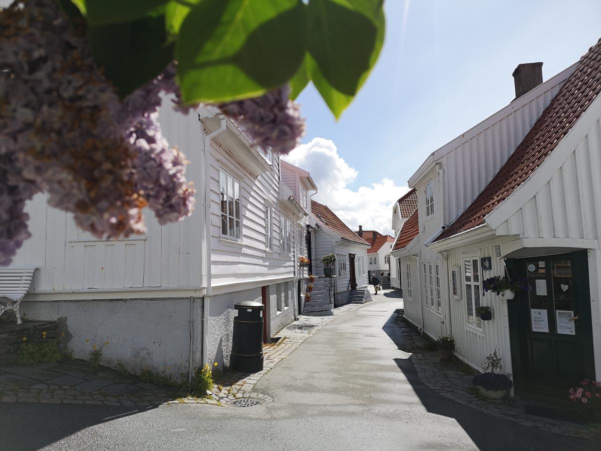 City walks for groups in Old Skudeneshavn