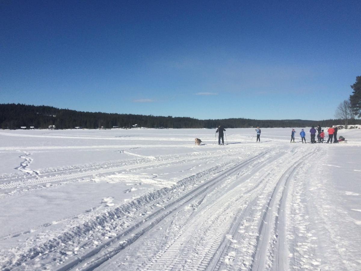 Cross-country skiing around lake Skumsjøen