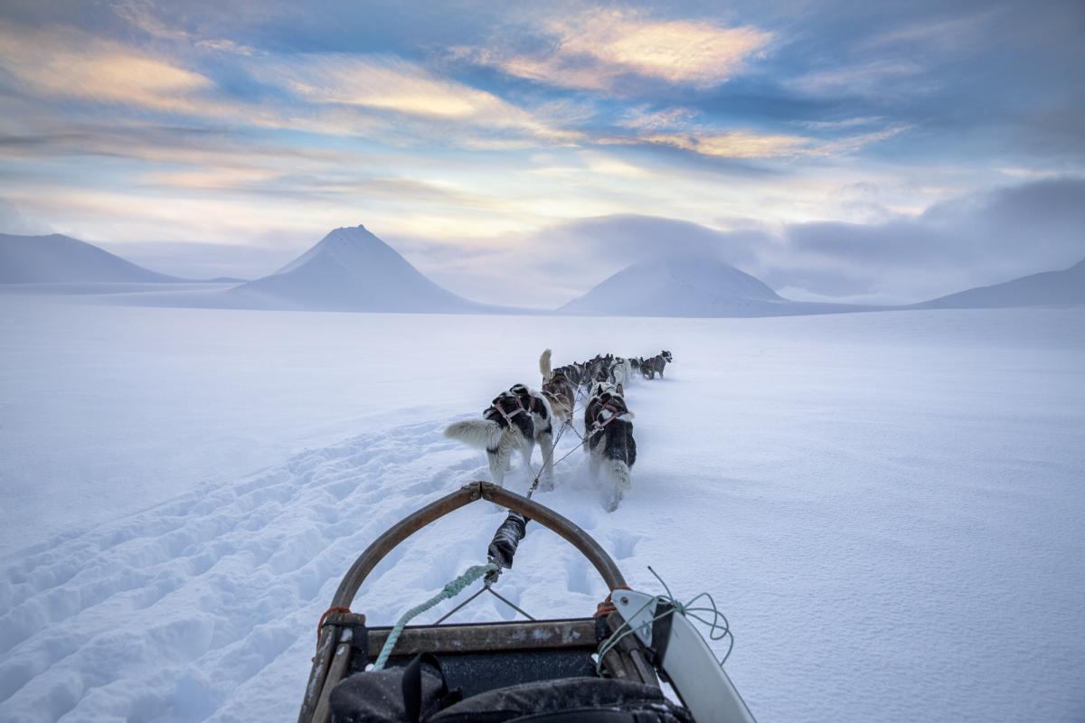 Dog Sled Expedition - Svalbard Villmarkssenter