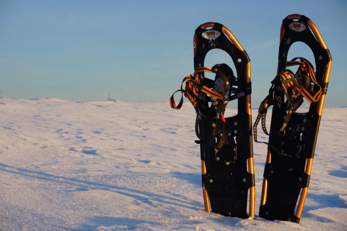Snowshoeing- rental and guided tours | Pellestova Hotel