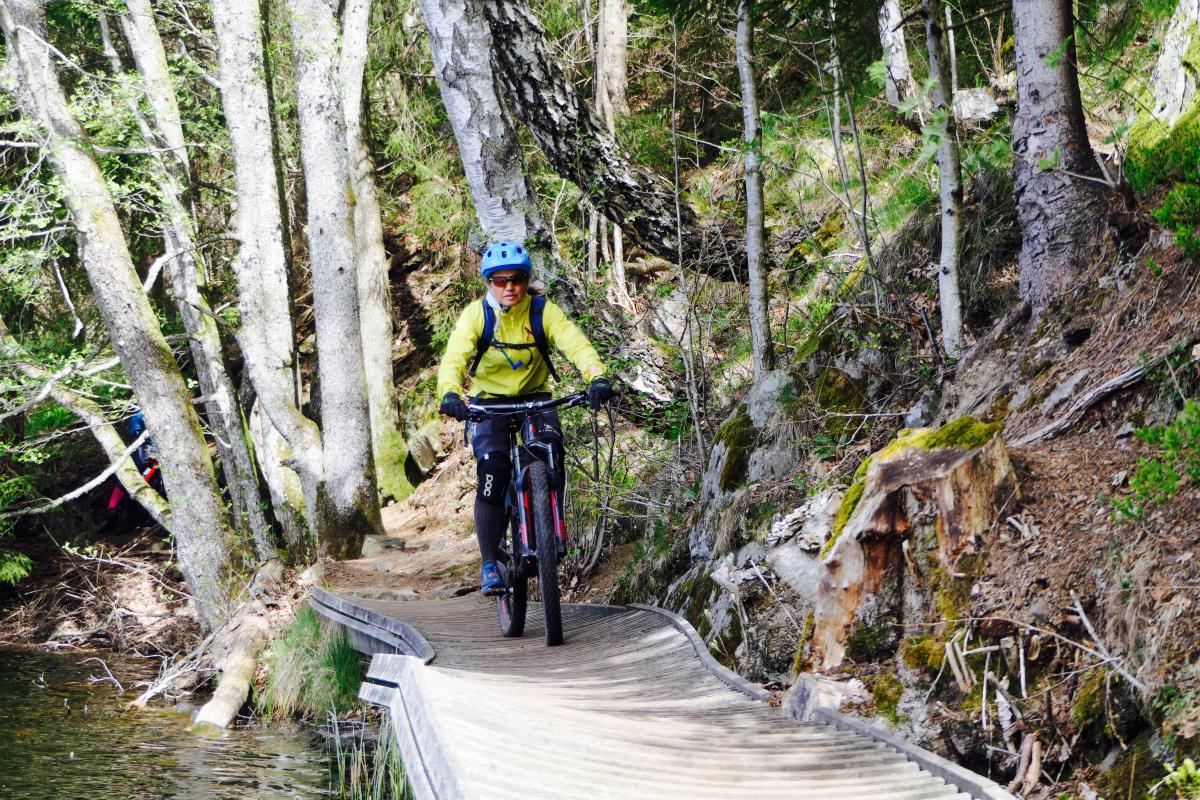 Arendal Singletrack - the Heavyweight