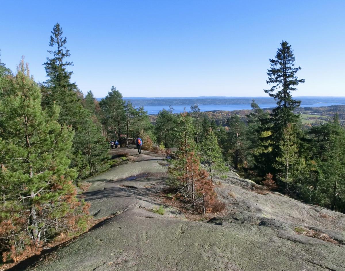 Topptur Vardåsen i Asker