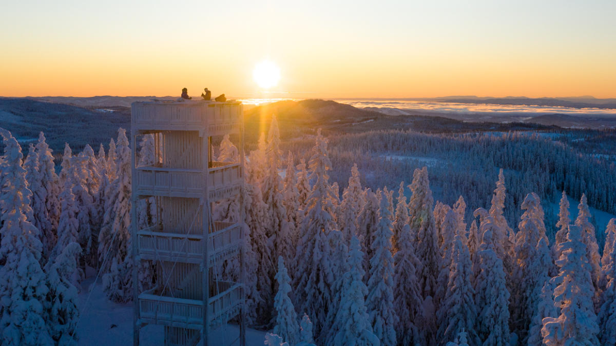 Experience Lushaugen near Lygna