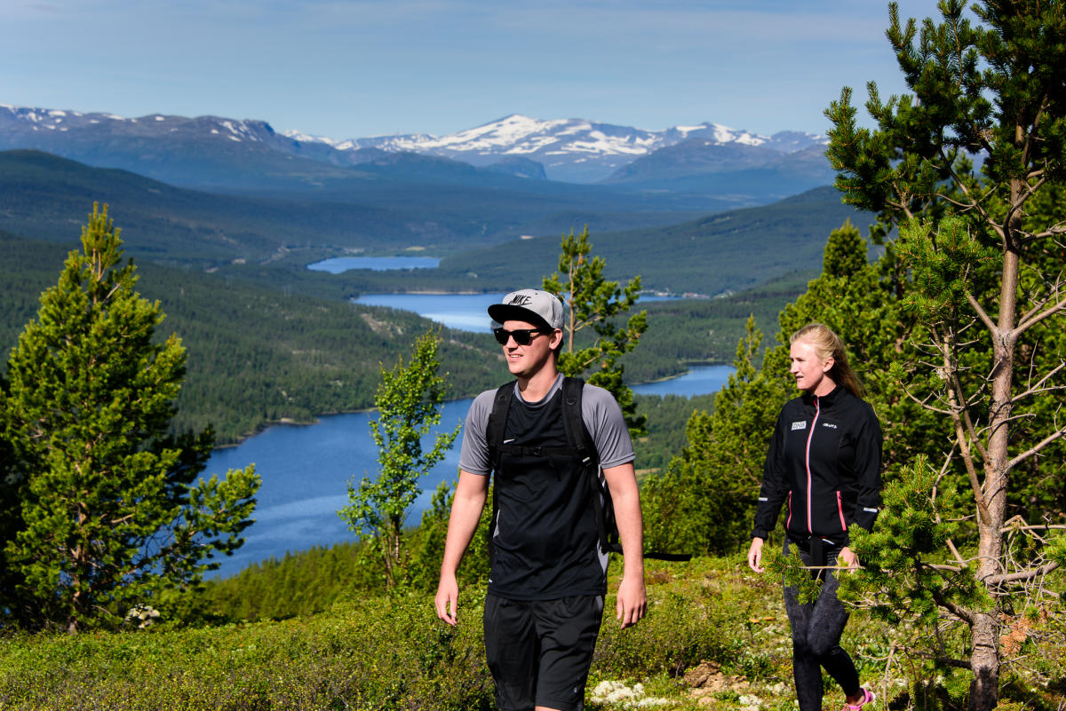 Dalseter-Lohaugen-Dalseter (7 km)