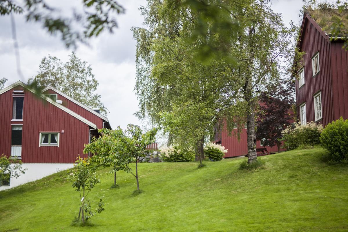 Lensmansgarden | Apartments | Innfjorden | Norway