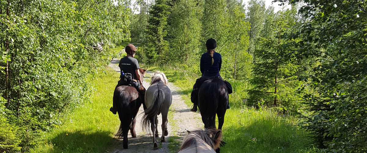 Bø and Lifjell horse riding