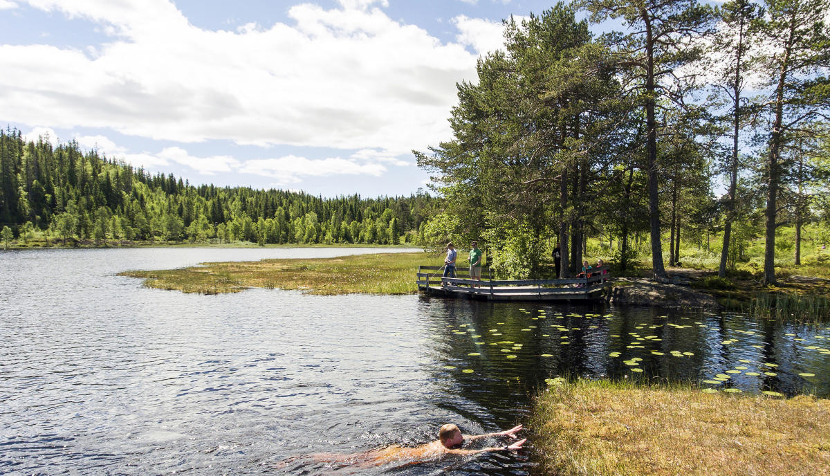 Lygna Camp The Ideal Winter Camping Camping Jaren Norway