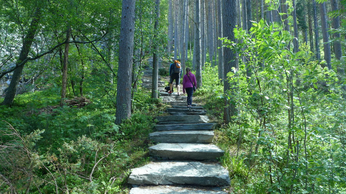 Bus to hike: Take the Midsund stairs to the peak