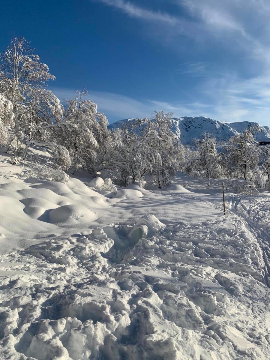 Stavtjørn | Skiing | Vikeså | Norway