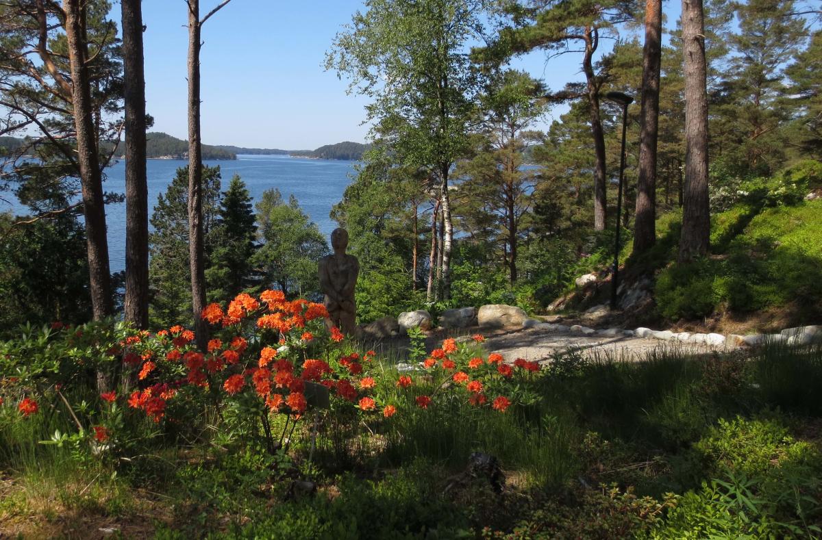 Rhododendronparken Rex Garden i Sveio | Hiking | Sveio | Norway