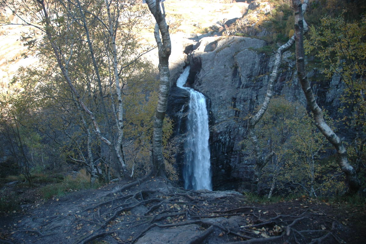Guided hike to Månafossen waterfall