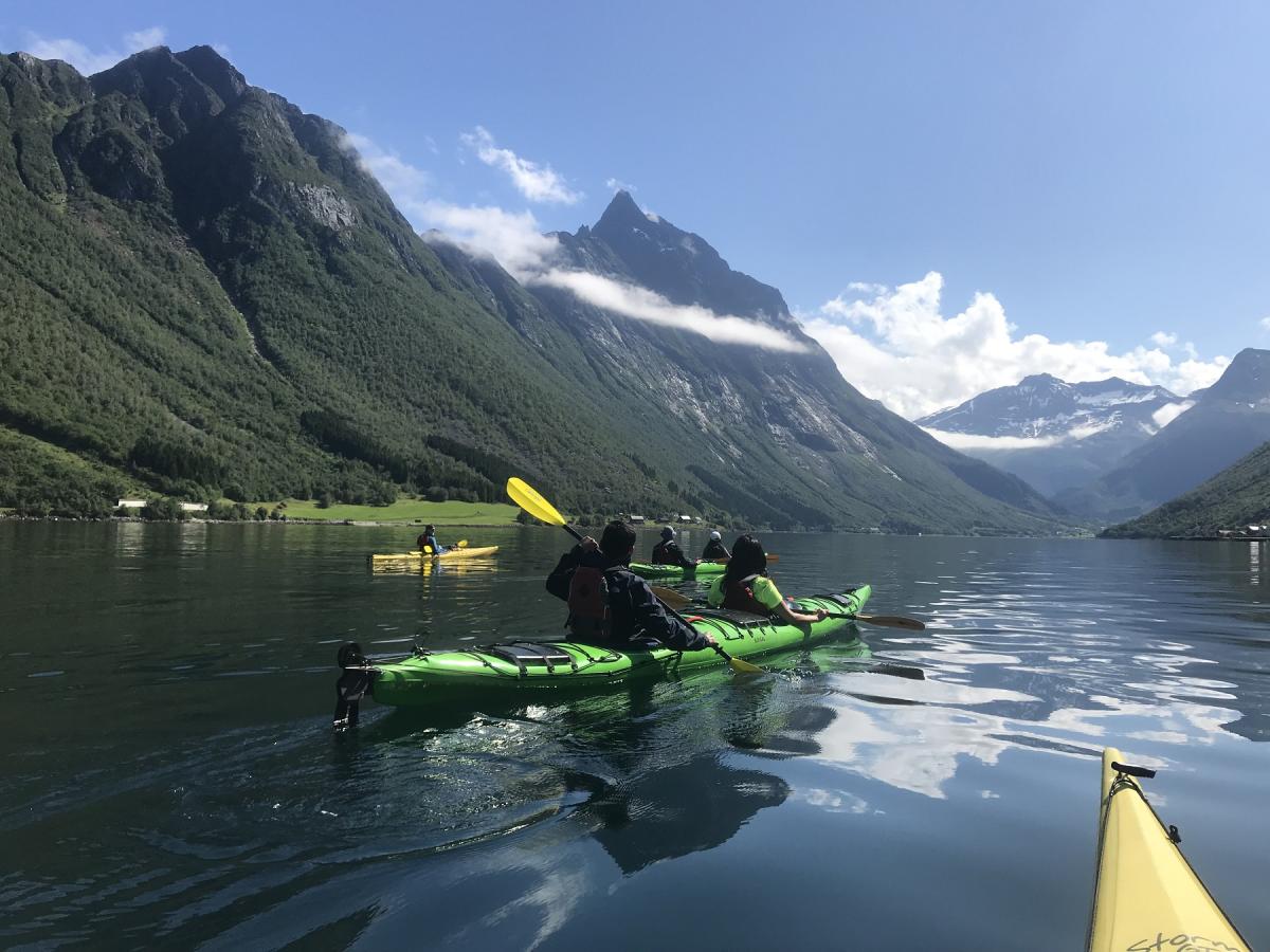 1 Day hidden fjord kayaking trip