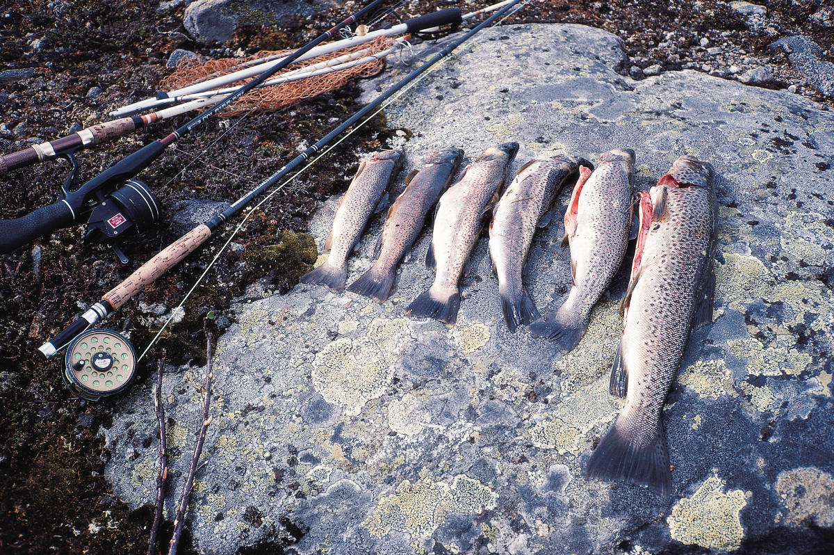 Fishing Information - Lærdal