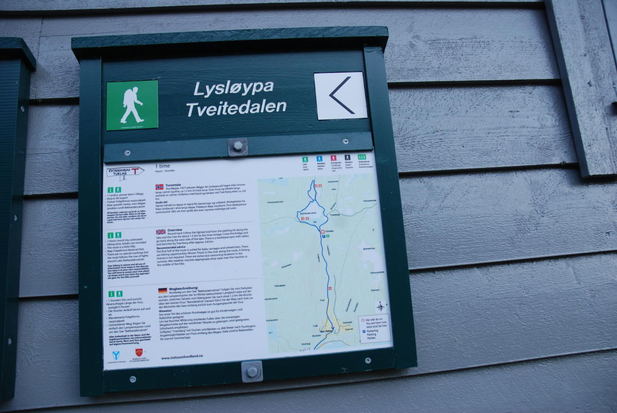 Hike in the lit trail in Tveitedalen