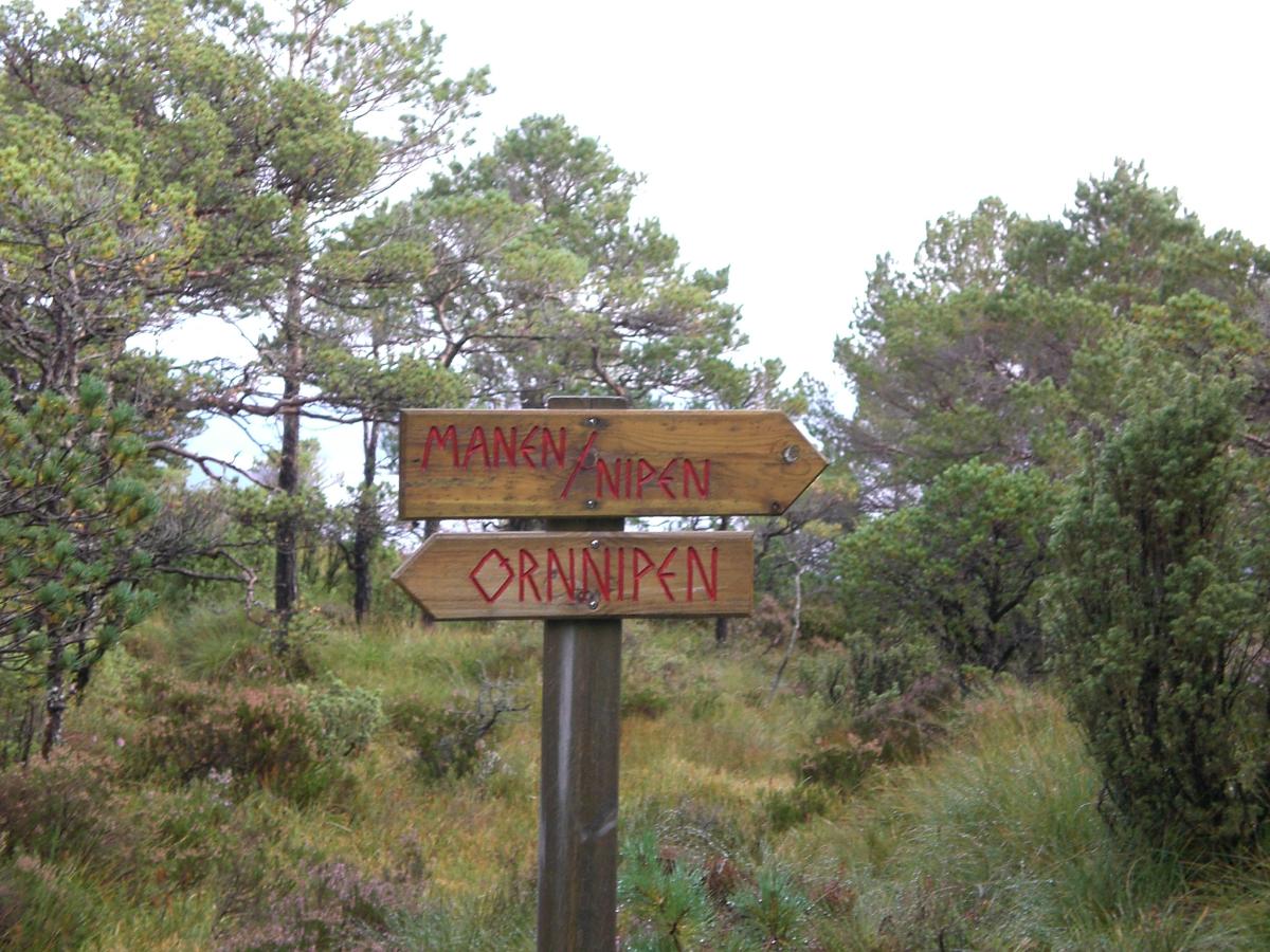 Hike to Brakhaug and Ørnnipen