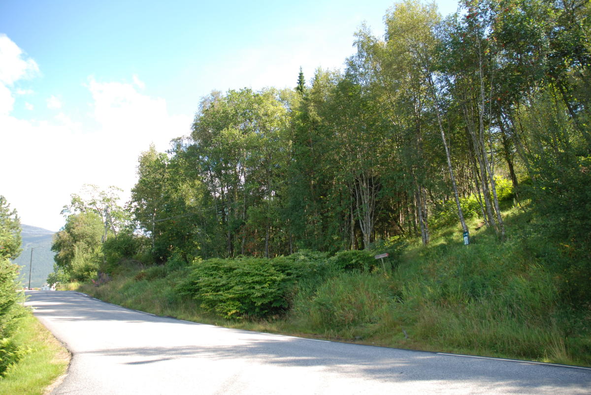 Hike to Kaldestadåsen from Kaldestad