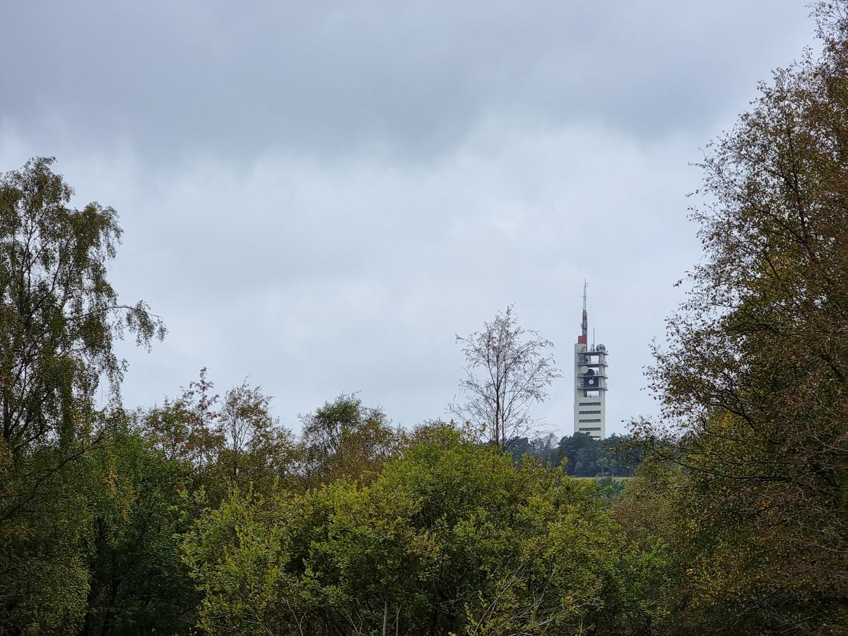 Waldwanderung nach Sørmarka