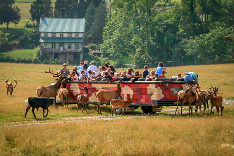 Lake Tobias Wildlife Park