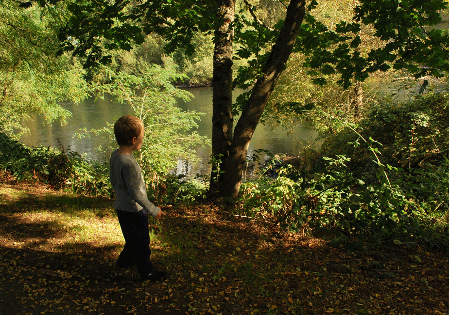 Armitage Park Campground