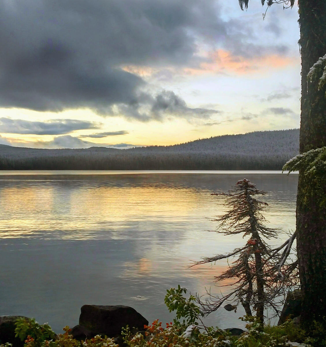 Waldo Lake Wilderness