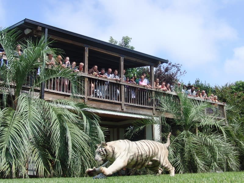 Myrtle Beach Safari