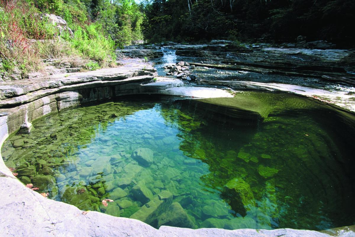 Wintergreen Park and Canajoharie, NY 13317